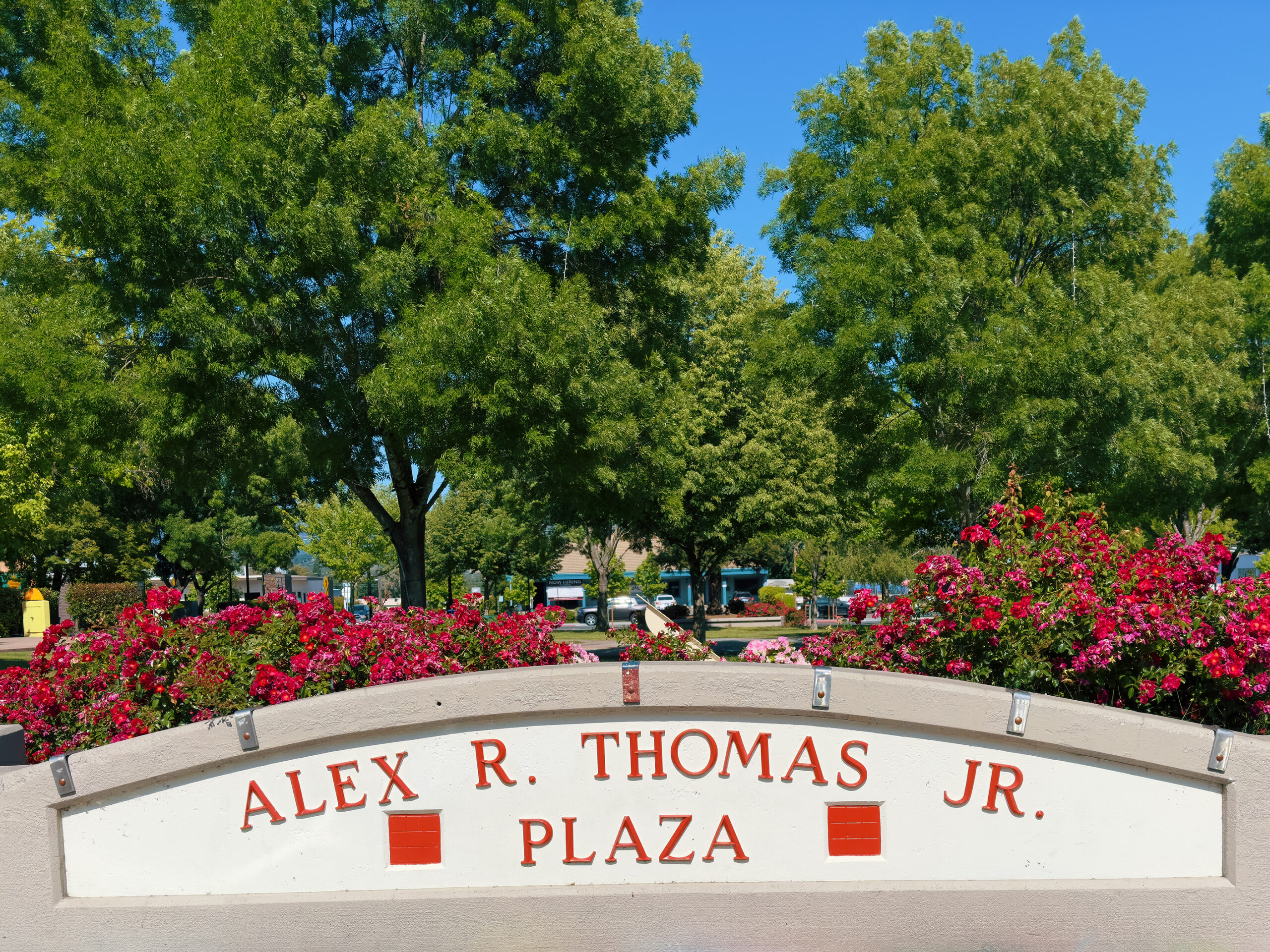 Plaza sign with red flowers and trees behind