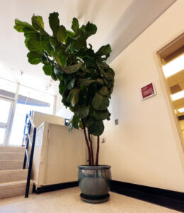 UVCC foyer in front of Riesling Room